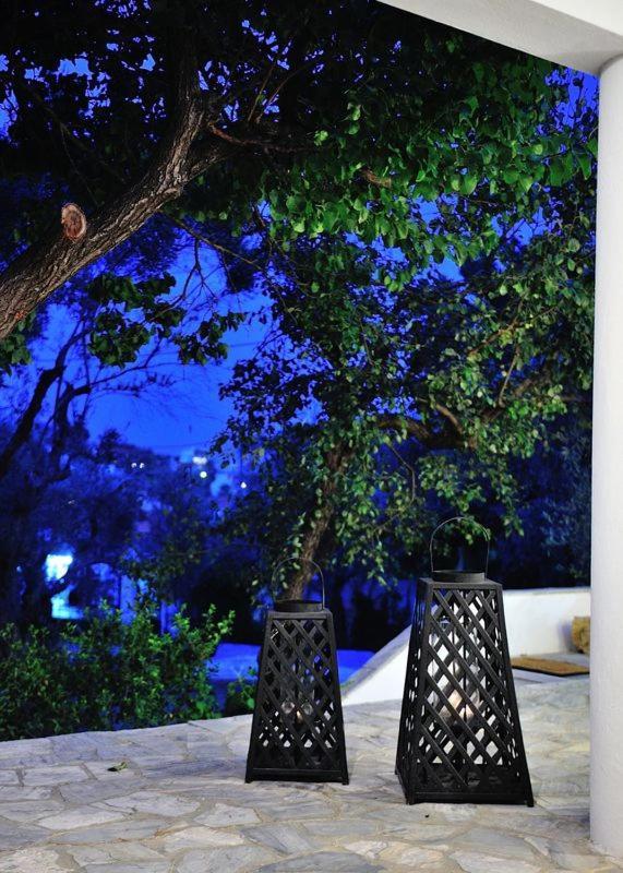 Villa Ftelia Skiathos Exterior foto